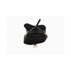 Dior Saddle Bag